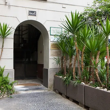 Bovio Prestige Naples