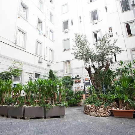 Bovio Prestige * Naples